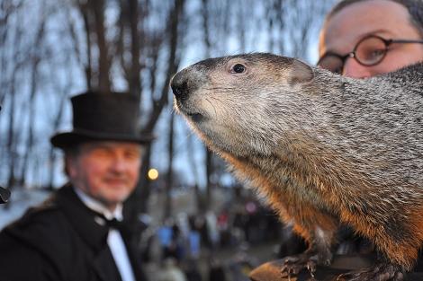 Presentación de la marmota en Punxsutawney (Pensilvania). I Ángeles Jiménez