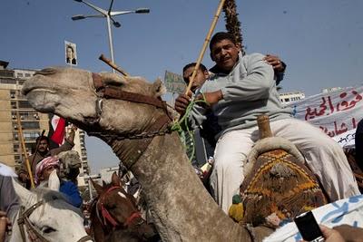 Egipto continúan las protestas (+ video impactante y fotos)