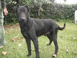 POR FAVOR, ALGUIEN QUE LE DE UNA OPORTUNIDAD AL MENOS PARA EL TIEMPO QUE LE QUEDE