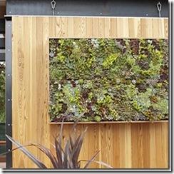 succulent-art-l_thumb