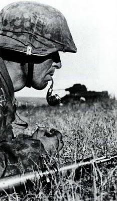 Qué hay de nuevo, Steppenwolf...