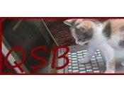 (10): fuentes (que agua) blog