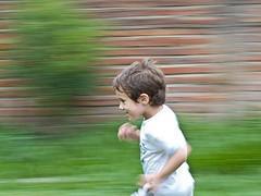 que-es-hiperactividad que es hiperactividad Veratrum para tratar el déficit de atención o hiperactividad