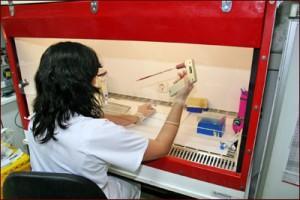 AJ CM Nanomedicina 300x200 La terapia celular regenerará dientes dentro de 20 años