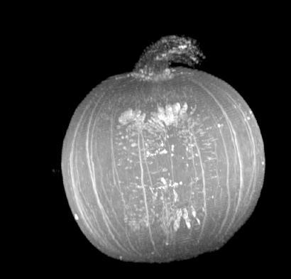 Andy Ellison – Vegetales por dentro