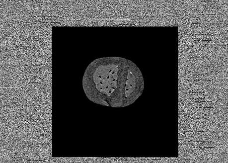 Andy Ellison – Vegetales por dentro