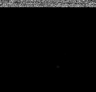 Andy Ellison – Vegetales por dentro