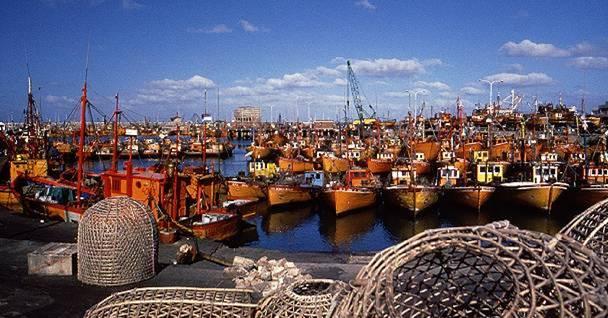 Barcos pesqueros, Mar del Plata