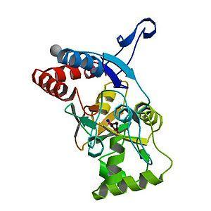 300px PBB Protein GRIA2 image La proteína del olvido
