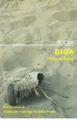 Mary Jo Bang: Elegía: