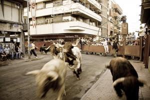 Entroido de Verín, Carnaval del Toro y Carnaval de Aguilas