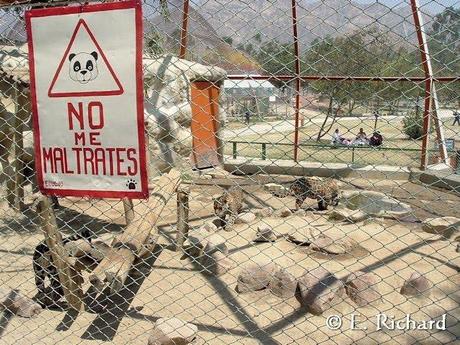 El zoológico como institución... una visión y crítica desde la conservación, lo pedagógico, lo ambiental, lo personal y profesional...