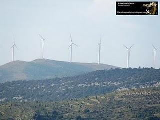 Energías renovables y trabajo.