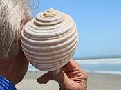 Saber escuchar. Conversaciones productivas