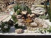 xerojardinería: jardinería sostenible