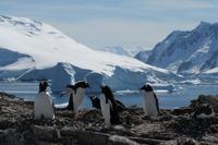 Crean primer registro climático aguas Antártida últimos 12.000 años
