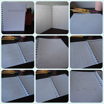 Review Ageda Amelie de Grupo Erik