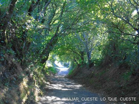 camino a santiago