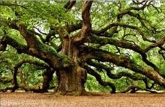 Despertar en primavera