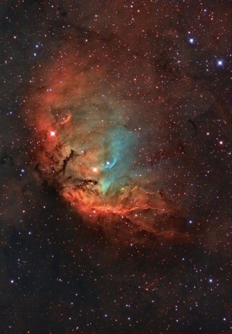 ✨Nebulosa Tulipán