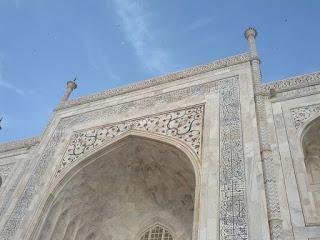 Taj - Andrés Pascual