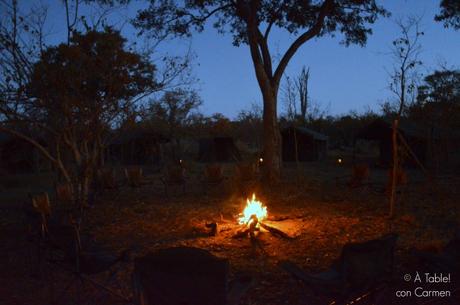 Safari en Botswana, Largos Rastreos en Moremi