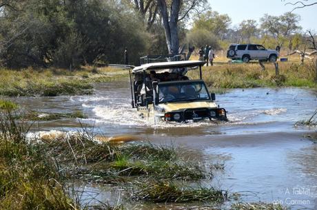 Safari en Botswana, Largos Rastreos en Moremi