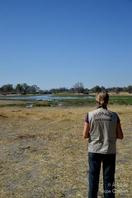 Safari en Botswana, Largos Rastreos en Moremi