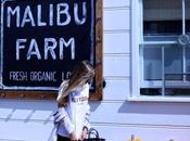 diary: Malibu