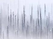 Kilian Schönberger, paisajes perspectiva creativa única