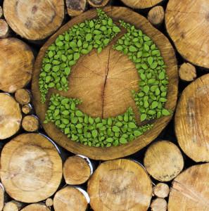biomasa-energia-renovable-organica