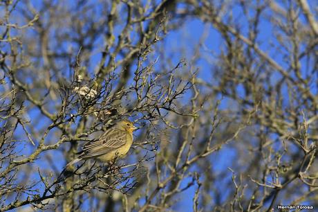 Campos montenses (septiembre 2016)