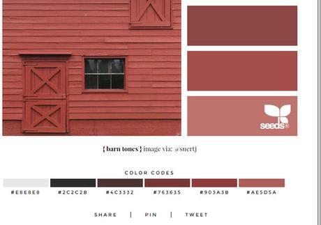 Herramientas Para Elegir Tus Paletas de Colores