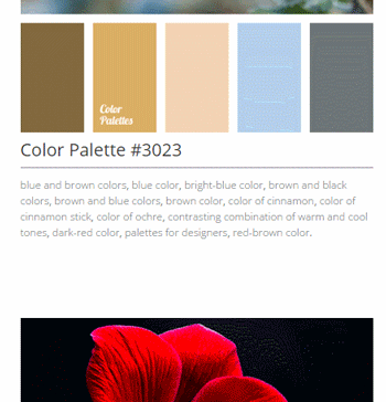 Herramientas Para Elegir Tus Paletas de Colores