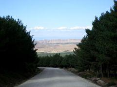 La pista blanca 161018-pblanca-3