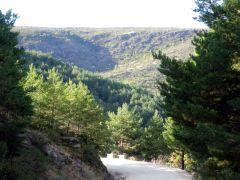 La pista blanca 161018-pblanca-2