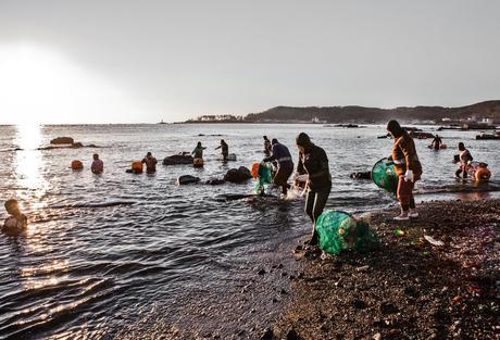 Conoce a la última generación de Haenyo, las sirenas de la vida real de Corea