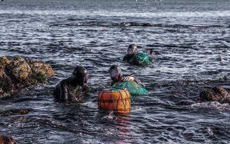 Conoce a la última generación de Haenyo, las sirenas de la vida real de Corea