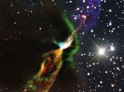 ✨Testigos nacimiento estrella