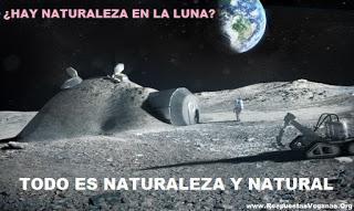 RESUMEN: ¿Qué es la naturaleza? ¿qué es natural? ¿es lo m...