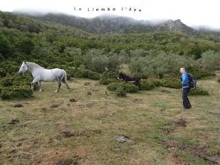 Puente Cimero-El Fielato-Vega l'Eyu-La Raya-Valverde-Puerto los Fueyos