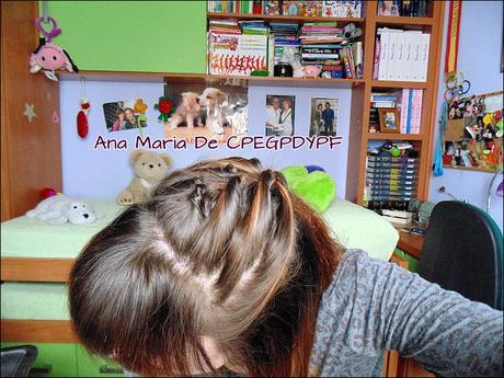 Peinado Imitando a Una Trenza.