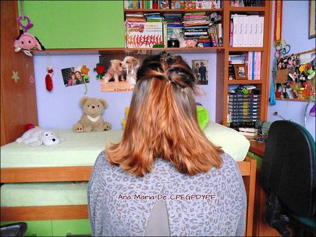 Peinado Imitando a Una Trenza.