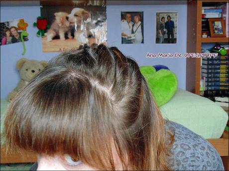 Peinado Imitando a Una Trenza.