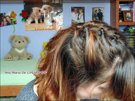 Peinado Imitando a Una Trenza.