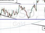 COMPRO ORO, ¿Qué debo saber?