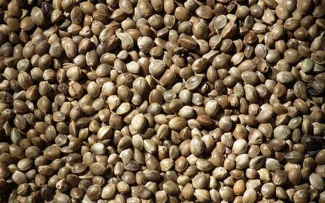 Cáñamo, interesantes complementos nutrimental útil para el running