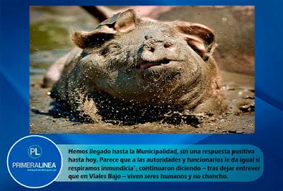 En Cañete: VECINOS DE VIALES BAJO SON TRATADOS COMO CHANCHOS…