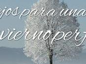 Consejos para Boda Invierno Perfecta