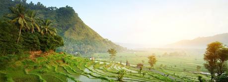 10 Razones para Visitar Bali arrozales